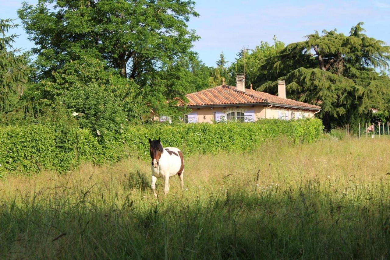 Gite De La Meronne Vindelle Extérieur photo